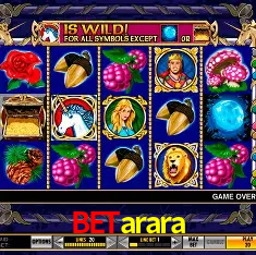 betarara Brasília - VIP Program