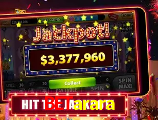 betarara Rio de Janeiro - Professional Dealers